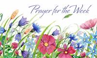 Prayer for the Week