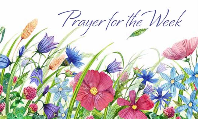 Prayer for the Week