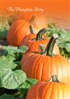 The Pumpkin Story