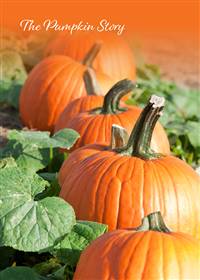 The Pumpkin Story