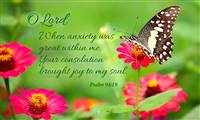 Relief for Anxiety