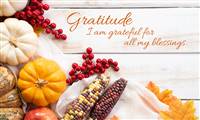 Gratitude