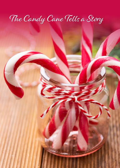 The Candy Cane