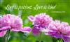 Love is Patient