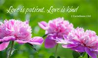Love is Patient