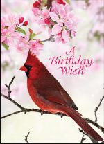 A Birthday Wish