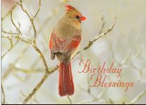 Birthday Blessings